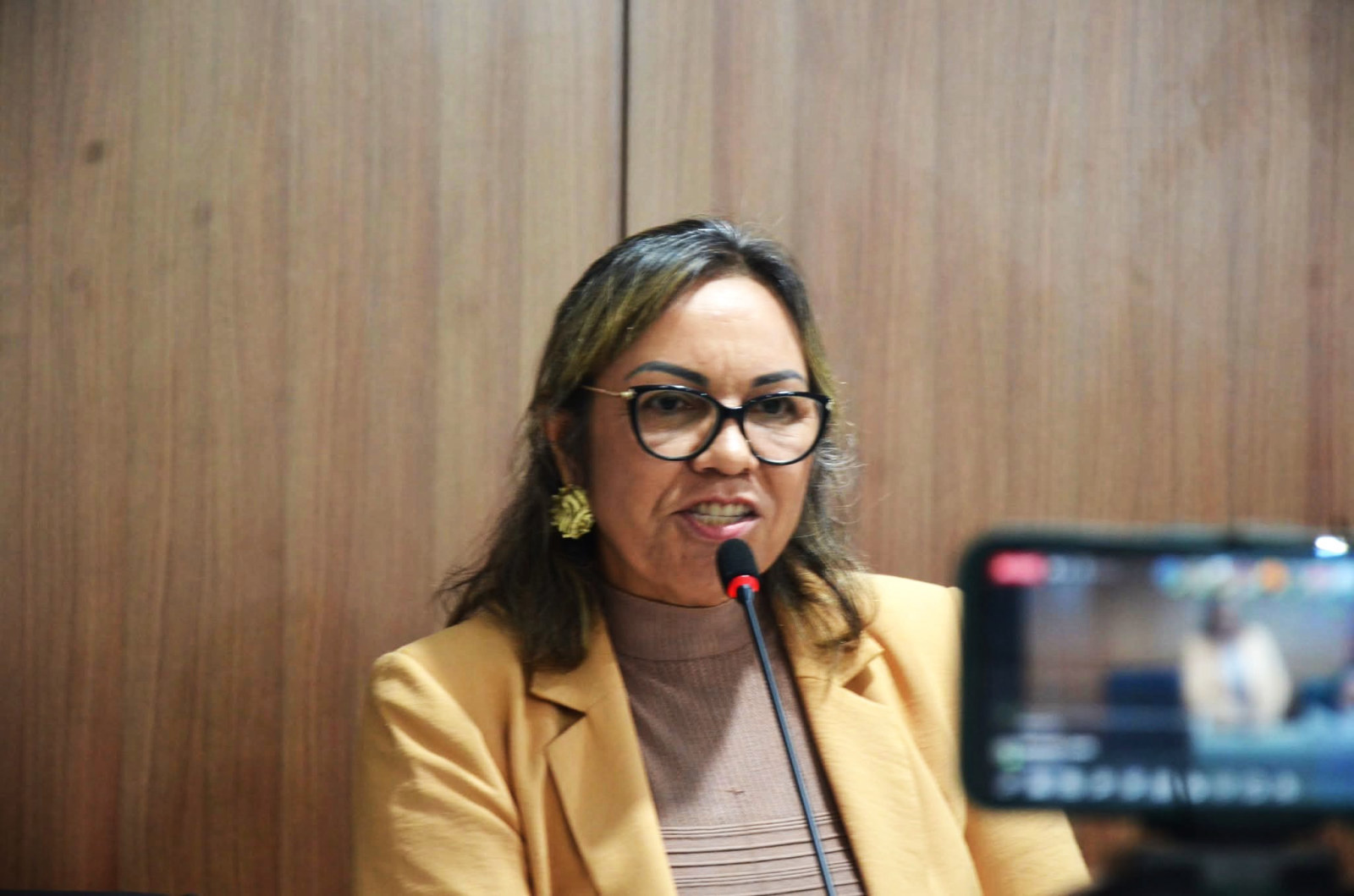 Vereadora se irrita com “inércia” do Poder Executivo e diz que não fará mais indicações